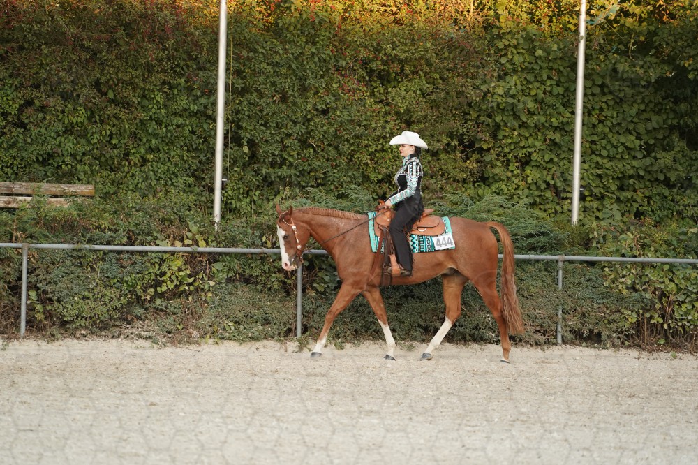 s_A_907003.JPG
